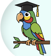 parrot wearing a graudation hat